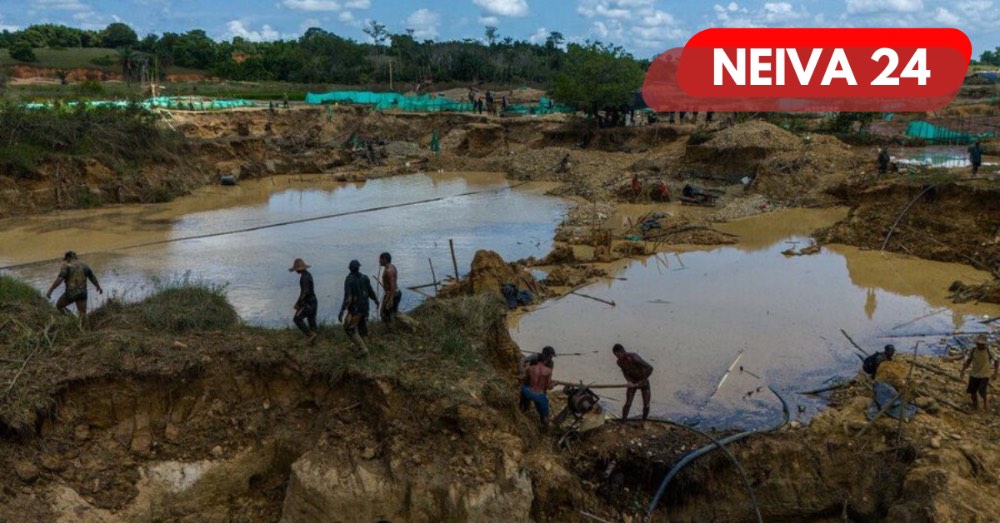 Ejército alerta ocupación ilegal en predio bajo extinción de dominio en Cáceres